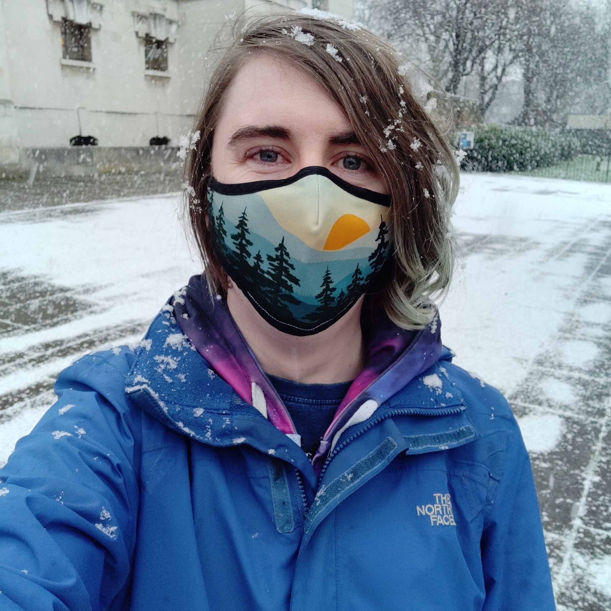 A selfie, outdoors. I’m wearing a blue winter jacket, with a
                   hoodie underneath, and a cloth face mask with a
                   tree-and-sunset pattern in block colours. There is snow in my
                   hair and on my jacket, as well as on the stone floor behind
                   me. More falls in the distance.